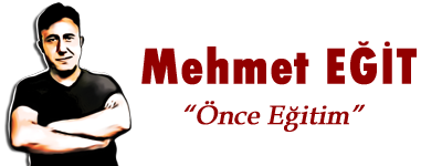 MEHMET EĞİT Logo Limon Fotokopi